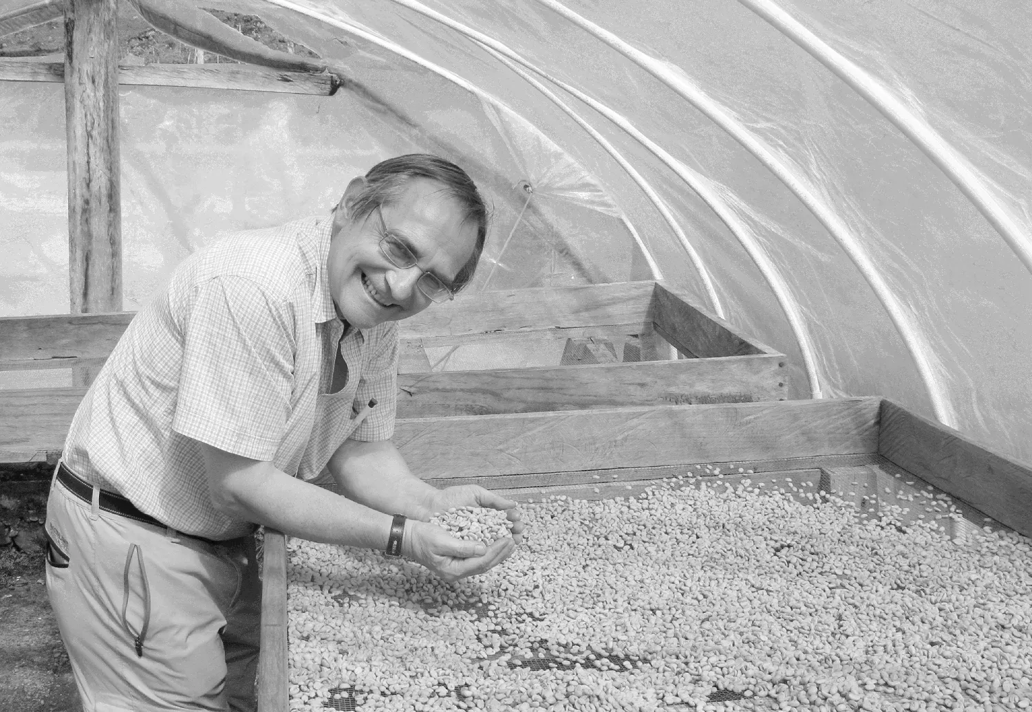 Walter Zwald, a middle aged white man with glasses, leans over a coffee drying table cupping green beans in his hands and smiling at the camera