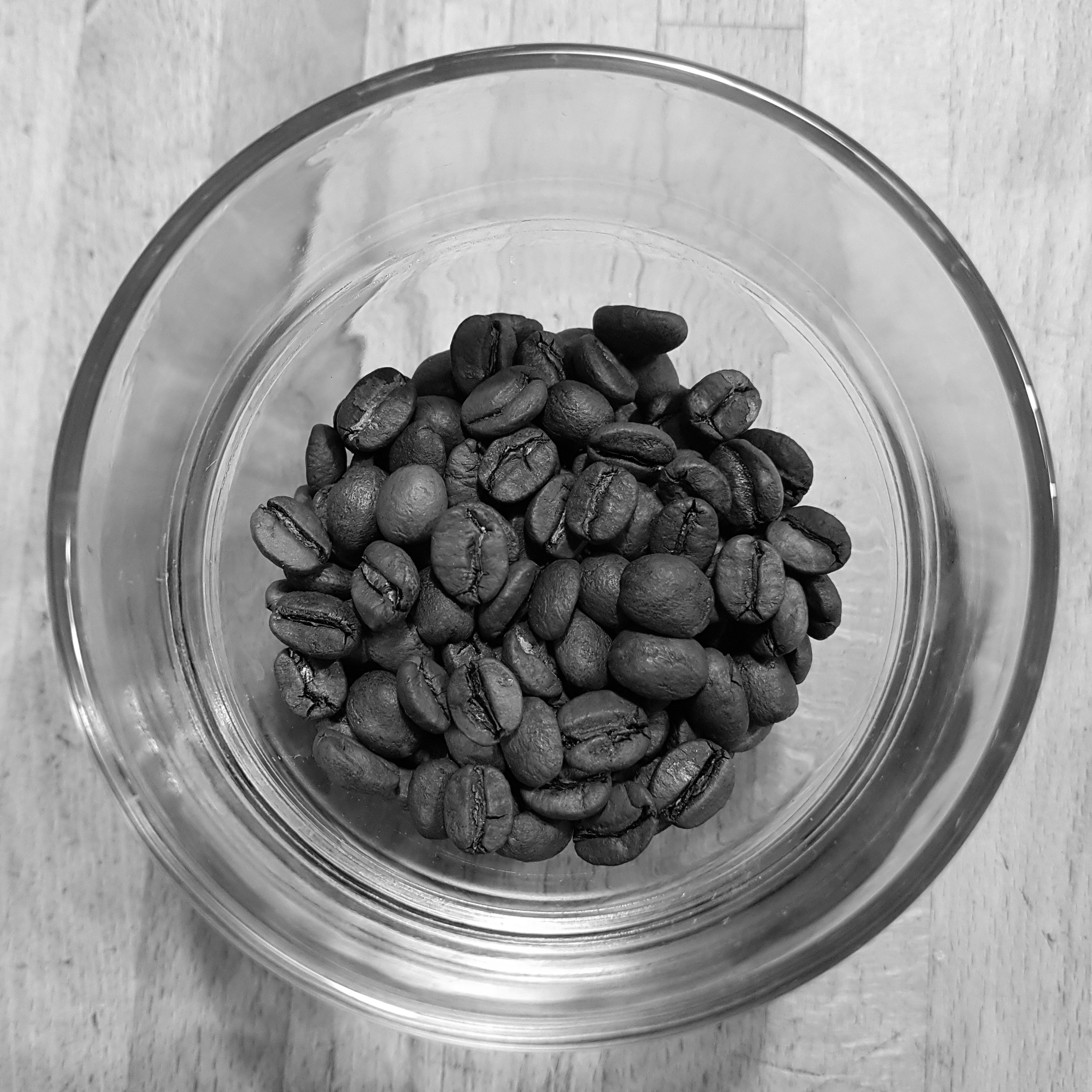20170106_151511-01.jpeg