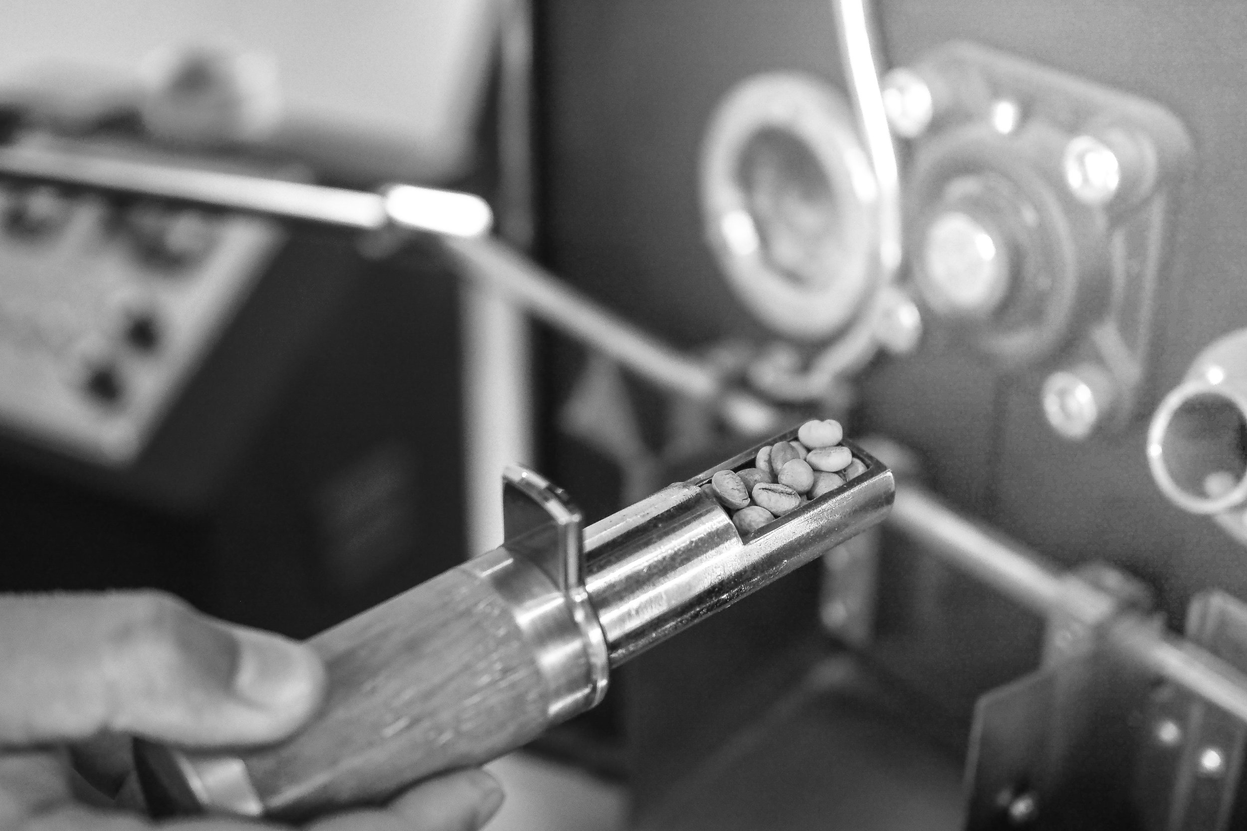 A coffee roaster tests the beans during a roast