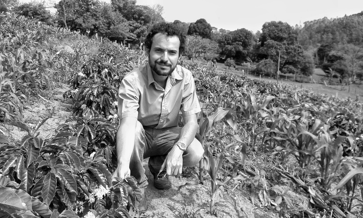 Jonas in a coffee field inspecting young shrubs