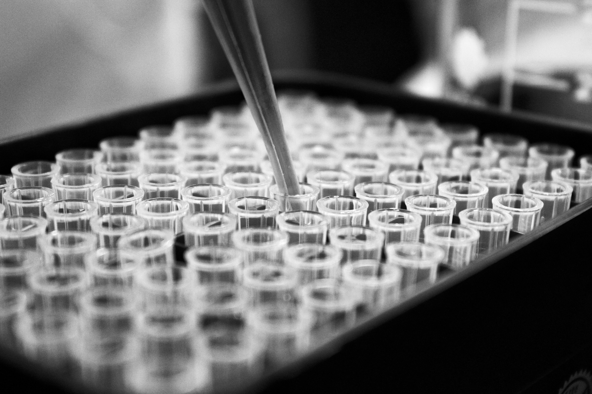 A pipette dipping into test tubes in close-up