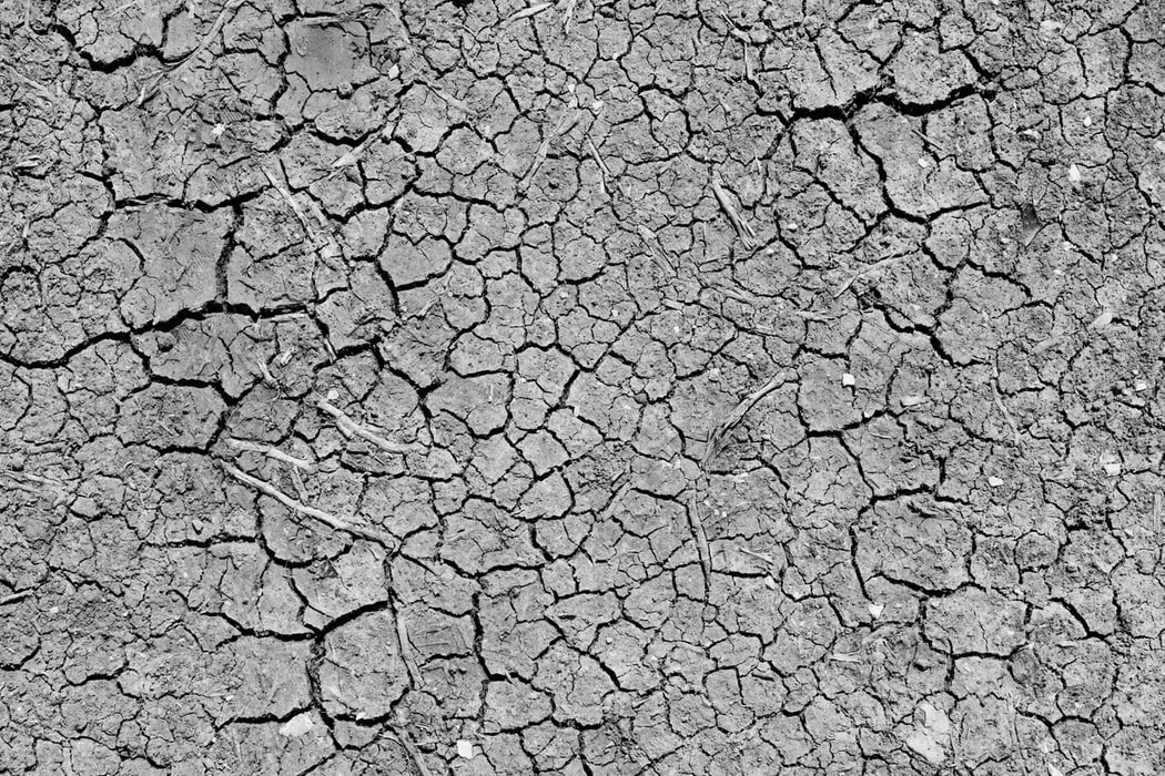 Dry soil seen from above.