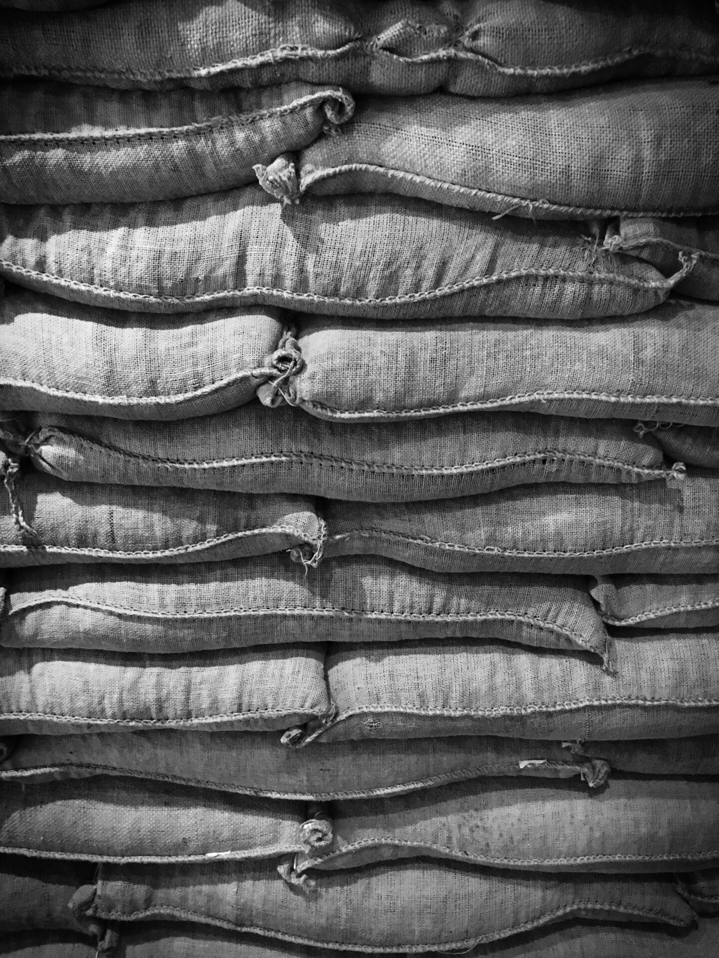Sacks of green coffee stacked up in a warehouse